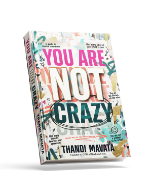 You Are Not Crazy by Thandi Mavata